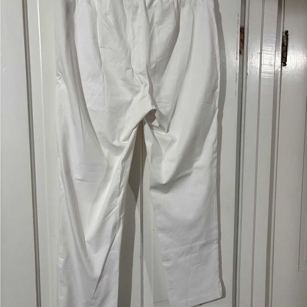 Eileen Fisher White Ankle Pants - Picture 3 of 5